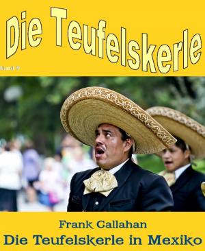Cover of the book Die Teufelskerle in Mexiko by Angelika Nylone