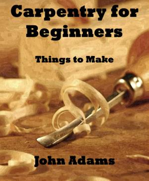 Cover of the book Carpentry for Beginners by Angelika Nylone