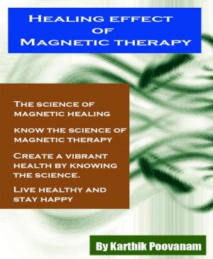 Cover of the book Healing effect Magnetic therapy by Sissi Kaipurgay