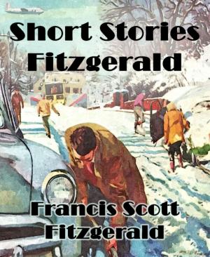 Book cover of Short Stories Fitzgerald