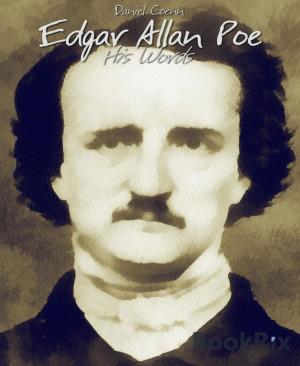 Cover of the book Edgar Allan Poe by Helen Hoffmann