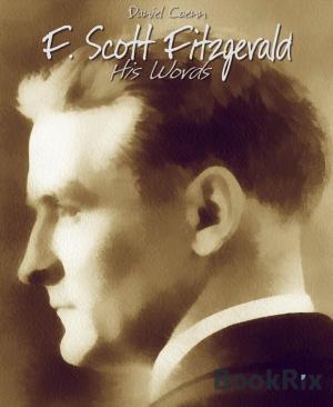 Cover of the book F. Scott Fitzgerald by Lucia Moroşanu