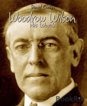 Cover of the book Woodrow Wilson by Jan Gardemann