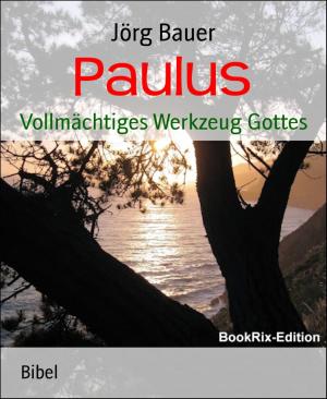 Cover of the book Paulus by Alfred Bekker