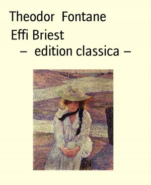 Book cover of Effi Briest – edition classica –