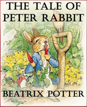 Cover of the book The Tale of Peter Rabbit by Loki Miller