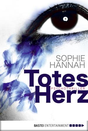 Cover of the book Totes Herz by Anonymus