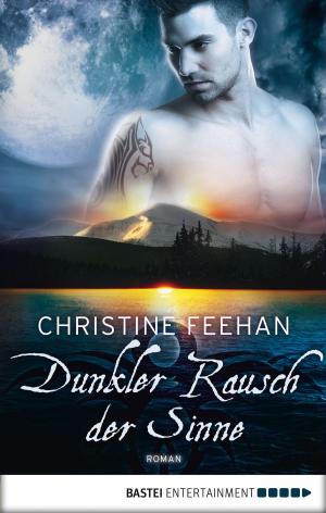 Book cover of Dunkler Rausch der Sinne