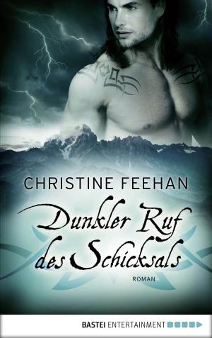 Book cover of Dunkler Ruf des Schicksals