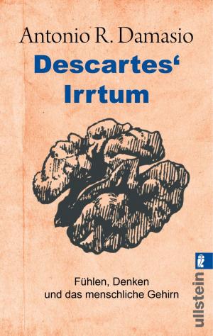 Book cover of Descartes' Irrtum