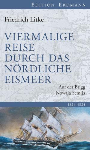 Cover of the book Viermalige Reise durch das nördliche Eismeer by Jacob Burckhardt