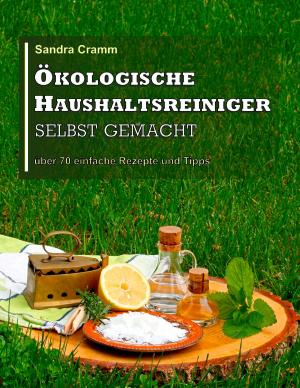 Book cover of Ökologische Haushaltsreiniger selbst gemacht