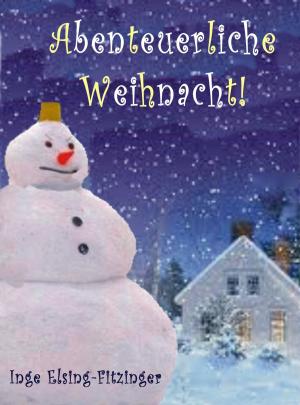 Book cover of Abenteuerliche Weihnacht!