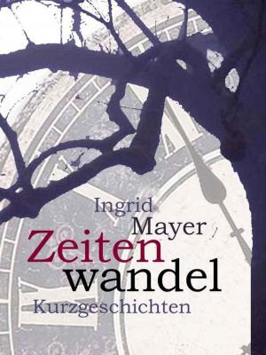 Cover of the book Zeitenwandel by Jürgen Prommersberger