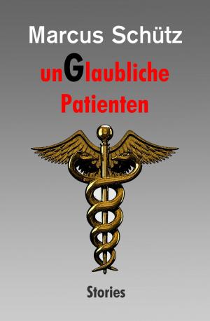 Cover of the book unGlaubliche Patienten by Katharina Rau
