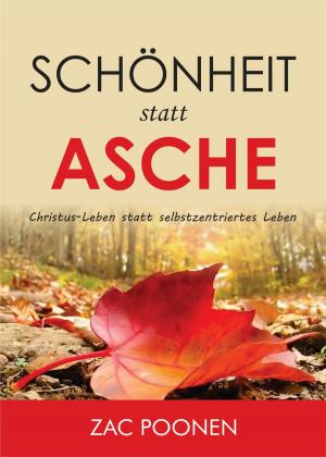 Cover of the book Schönheit statt Asche by T. Mavero