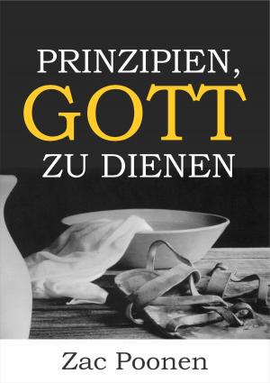 Cover of the book Prinzipien, Gott zu dienen by Joachim R. Steudel
