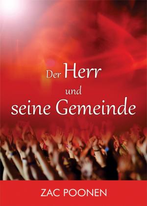 Cover of the book Der Herr und seine Gemeinde by Ingo T. Herzig
