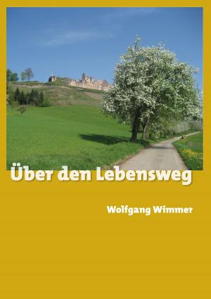 Cover of the book Über den Lebensweg by Hédi Bouraoui