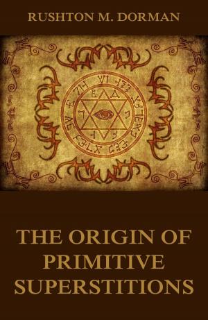Cover of the book The Origin Of Primitive Superstitions by Frank Hamel