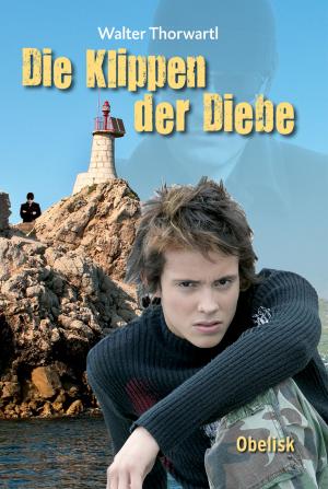 Cover of the book Klippen der Diebe by Michaela Holzinger