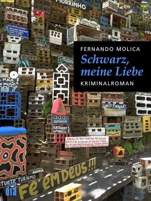 Cover of the book Schwarz, meine Liebe by Severo Sarduy, Roberto González Echevarría