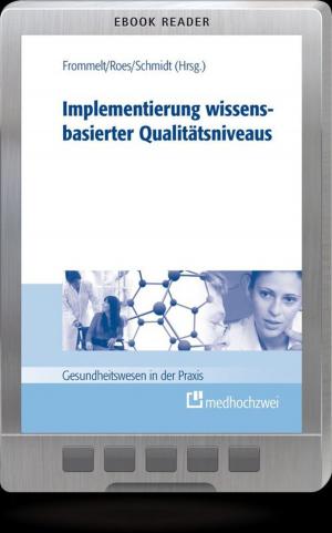 Cover of the book Implementierung wissensbasierter Qualitätsniveaus by Helge Bischoff, Nicolas Schönfeld