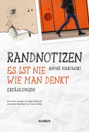 Cover of the book Randnotizen - Es ist nie, wie man denkt. Vier Erzählungen über Vorurteile, Toleranz und Grenzen in unserer Gesellschaft by Andreas Behm