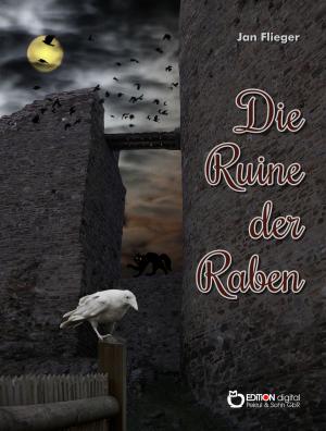 Book cover of Die Ruine der Raben