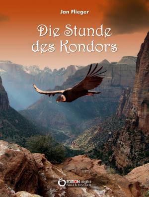 Book cover of Die Stunde des Kondors