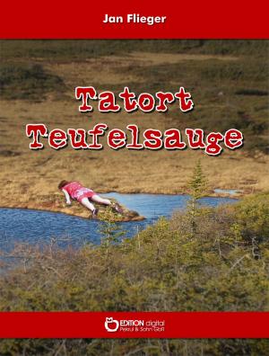 Cover of the book Tatort Teufelsauge by Larry 