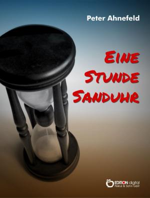 Cover of the book Eine Stunde Sanduhr by Ulrich Hinse