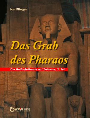 Book cover of Das Grab des Pharaos