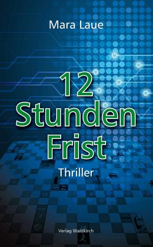 Cover of 12 Stunden Frist