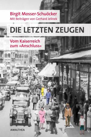 Cover of the book Die letzten Zeugen by Sigrid-Maria Größing
