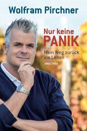 Cover of the book Nur keine Panik by Katrin Unterreiner, Sabine Fellner