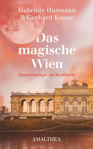 Book cover of Das magische Wien
