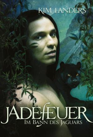 Cover of the book Jadefeuer by J.K. Beck, Julie Kenner