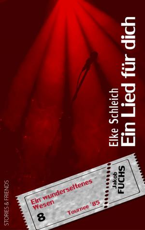 Cover of the book Ein Lied für dich by Sven Christian Lennard, Lisa Weichart, Gudrun Büchler, Boris Schneider