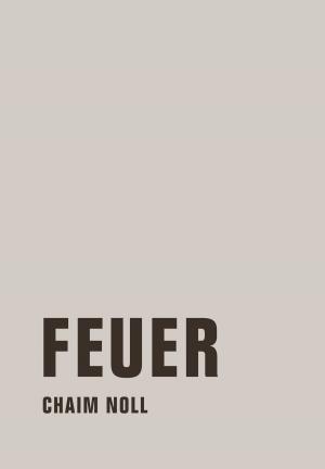 Cover of the book Feuer by Naira Gelaschwili, Jörg Sundermeier
