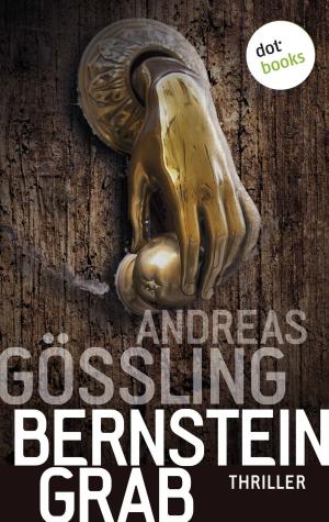 Cover of the book Bernsteingrab by Robert Gordian