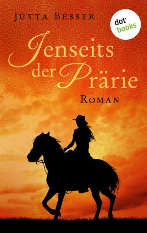 Cover of the book Jenseits der Prärie by Monika Detering