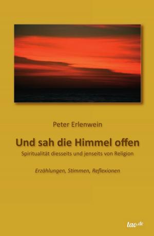 Cover of the book Und sah die Himmel offen by Laurent F. Carrel