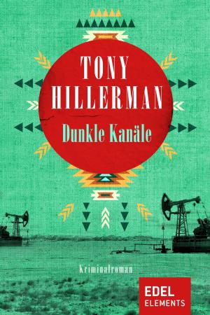 Cover of the book Dunkle Kanäle by Anke Bütow