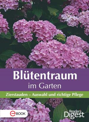 Book cover of Blütentraum im Garten