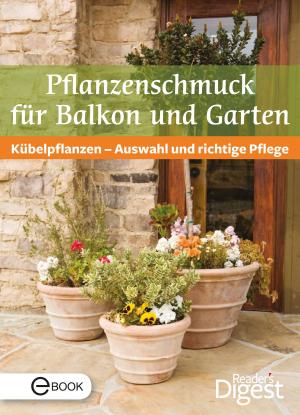 Book cover of Pflanzenschmuck für Balkon und Terrasse
