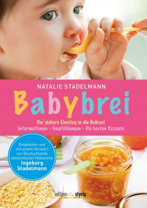 Book cover of Babybrei