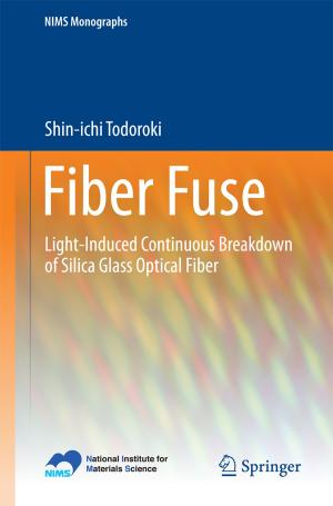 Cover of the book Fiber Fuse by Akari Takayama