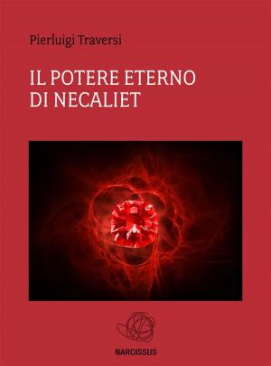 Cover of the book Il Potere Eterno di Necaliet by Pj Belanger