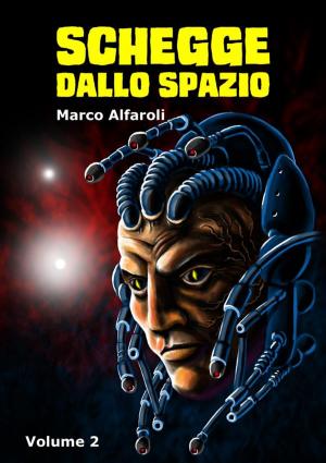 Cover of the book Schegge dallo spazio - volume 2 by Kendra Hadnott